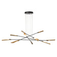 Hubbardton Forge 2025 Black Modern Brass Frosted Gradient Glass (WC) LONG Flight 10-Light Pendant