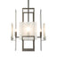 Hubbardton Forge 2025 Oil Rubbed Bronze Frosted Glass (FD) Multi Geo 4-Light Pendant