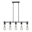 Hubbardton Forge 2018 Black Clear Glass (ZM) Multi Apothecary Pendant