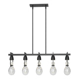 Hubbardton Forge 2018 Black Clear Glass (ZM) Multi Apothecary Pendant
