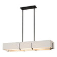Hubbardton Forge 2019 Black Natural Anna Shade (SF) Multi Exos Rectangular Pendant