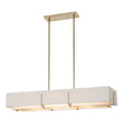 Hubbardton Forge 2019 Soft Gold Natural Anna Shade (SF) Multi Exos Rectangular Pendant