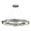 Hubbardton Forge 2024 Vintage Platinum Crystal Standard Trove LED Circular Pendant