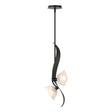 Hubbardton Forge 2024 Black Frosted Glass (FD) Multi Mika 2-Light Pendant
