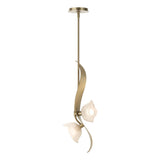 Hubbardton Forge 2024 Soft Gold Frosted Glass (FD) Multi Mika 2-Light Pendant