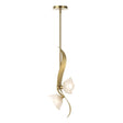 Hubbardton Forge 2024 Modern Brass Frosted Glass (FD) Multi Mika 2-Light Pendant