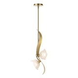 Hubbardton Forge 2024 Modern Brass Frosted Glass (FD) Multi Mika 2-Light Pendant
