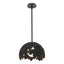 Hubbardton Forge 2024 Black Multi Pangea 1-Light Pendant