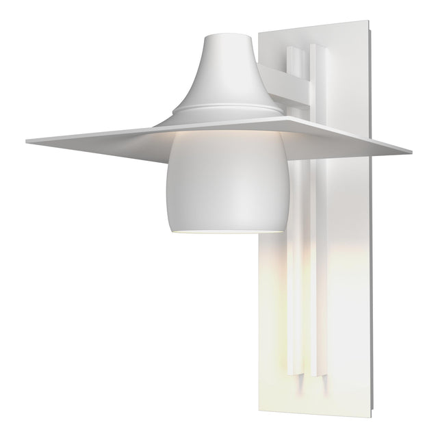 Hubbardton Forge 2012 Coastal White Hood Large Dark Sky Outdoor Sconce