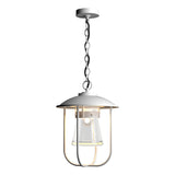 Hubbardton Forge 2019 Coastal White Clear Glass (ZM) Erlenmeyer Outdoor Pendant