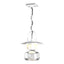 Hubbardton Forge 2016 Coastal White Clear Glass (ZM) Mason Large Outdoor Ceiling Fixture