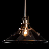 Hubbardton Forge 2020 Coastal Bronze Clear Glass (ZM) Multi Henry Outdoor Pendant with Glass Medium