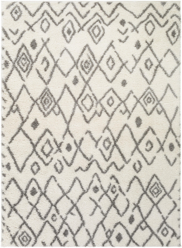 Surya Aliyah Shag ALH-2316 2' x 3' Rug