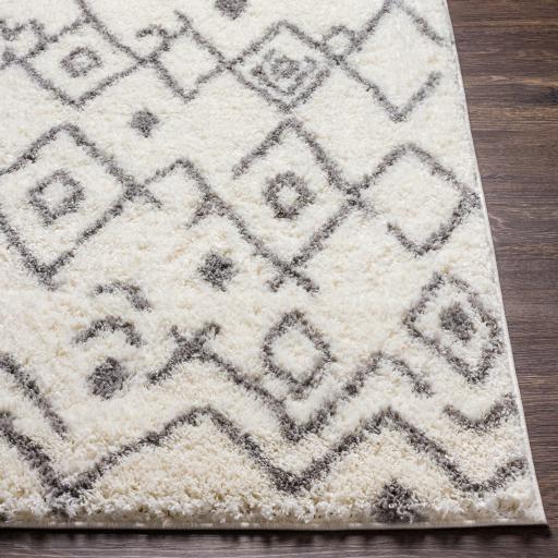Surya Aliyah Shag ALH-2316 2' x 3' Rug