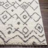 Surya Aliyah Shag ALH-2316 2' x 3' Rug