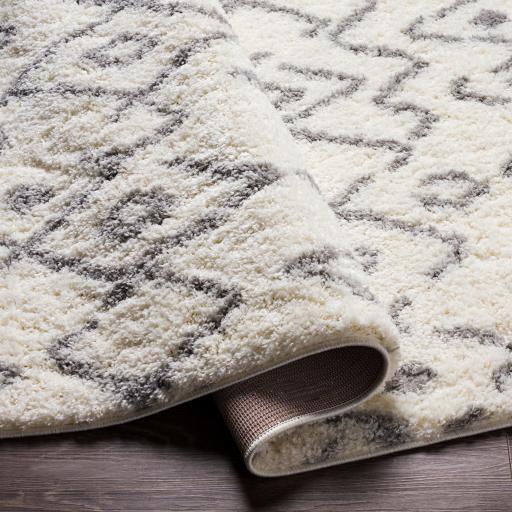 Surya Aliyah Shag ALH-2316 2' x 3' Rug