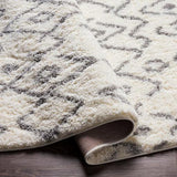 Surya Aliyah Shag ALH-2316 2' x 3' Rug