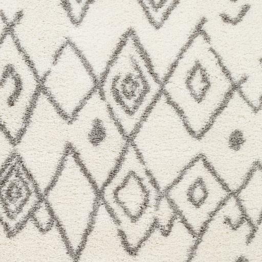 Surya Aliyah Shag ALH-2316 2' x 3' Rug