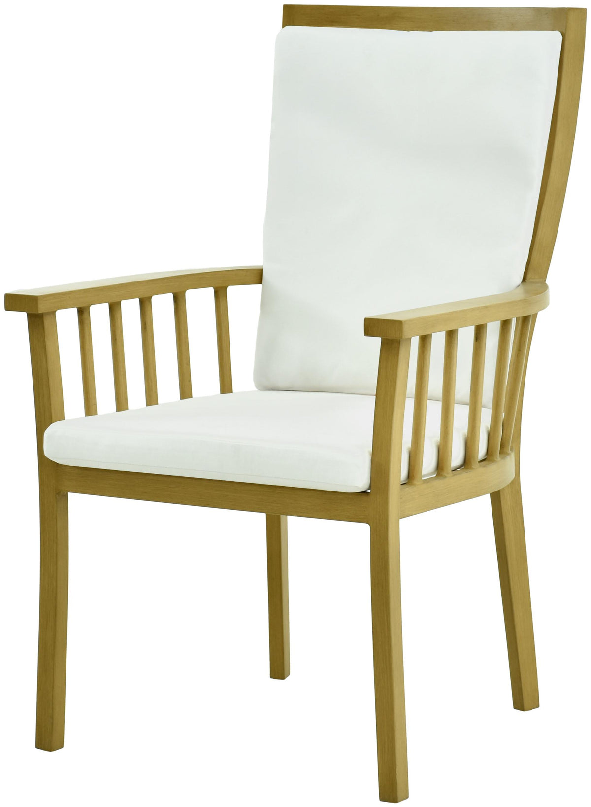 Surya Cape Town CAPE-003 40"H x 26"W x 25"D Furniture Piece