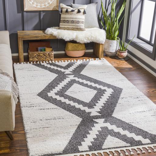 Surya Valencia VLC-2303 2' x 3' Rug