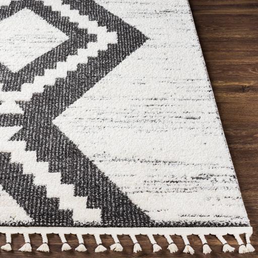 Surya Valencia VLC-2303 2' x 3' Rug