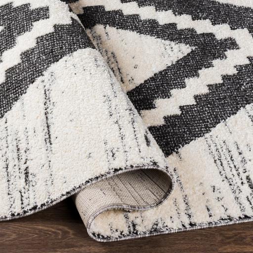 Surya Valencia VLC-2303 2' x 3' Rug