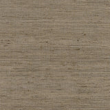 Anna French Pradesh Natural Fabric