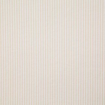 Pindler CHELSEA EGGSHELL Fabric