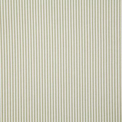 Pindler CHELSEA SAGE Fabric