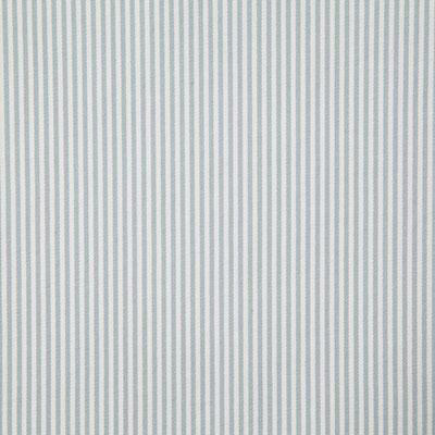 Pindler CHELSEA MIST Fabric