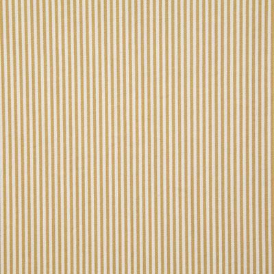 Pindler CHELSEA GOLDEN Fabric