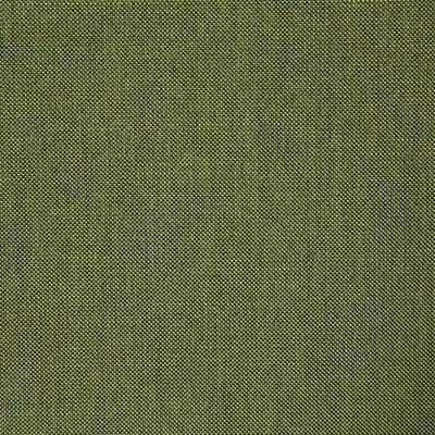 Pindler CLIFFRIDGE CITRUS Fabric