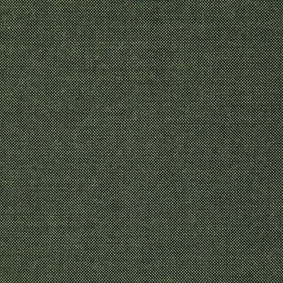 Pindler CLIFFRIDGE LICHEN Fabric