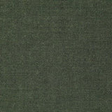 Pindler CLIFFRIDGE LICHEN Fabric