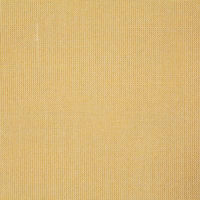 Pindler CLIFFRIDGE BUTTER Fabric
