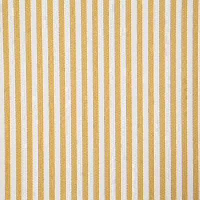 Pindler FULHAM GOLDEN Fabric