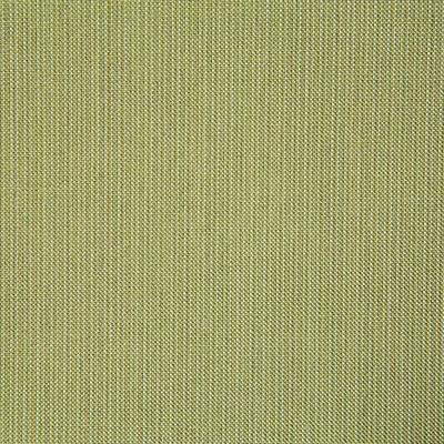 Pindler ROCKWELL CITRUS Fabric