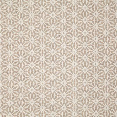 Pindler TIDEPOOL LINEN Fabric
