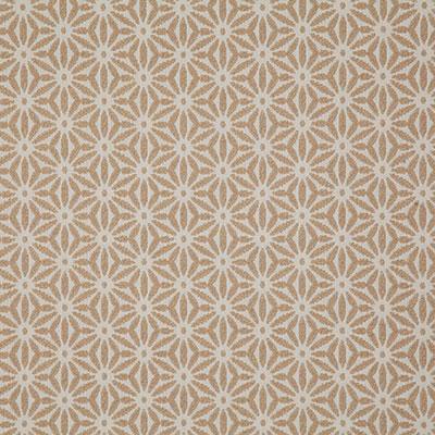 Pindler TIDEPOOL TAN Fabric