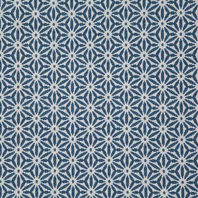 Pindler TIDEPOOL BLUEBERRY Fabric