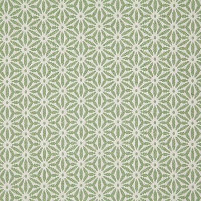 Pindler TIDEPOOL MINT Fabric