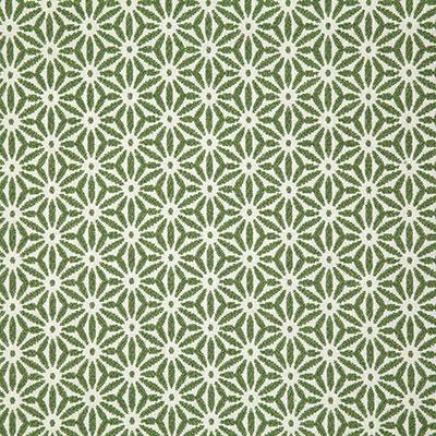 Pindler TIDEPOOL SPRING Fabric