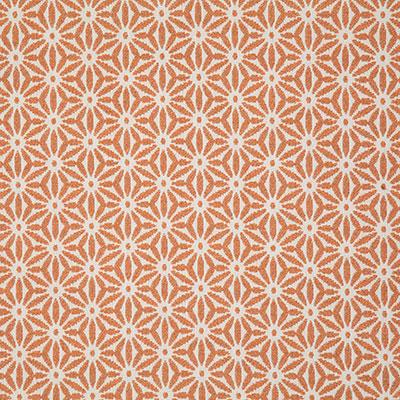 Pindler TIDEPOOL TANGERINE Fabric