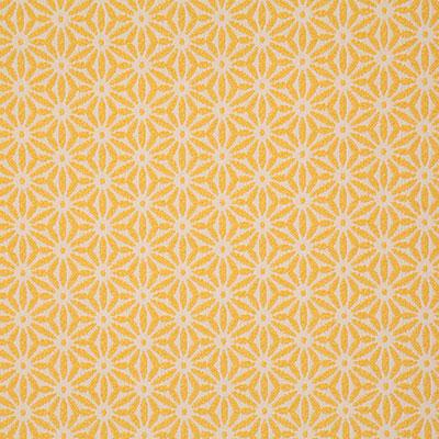 Pindler TIDEPOOL SUNSHINE Fabric