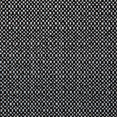 Pindler WADING NOIR Fabric