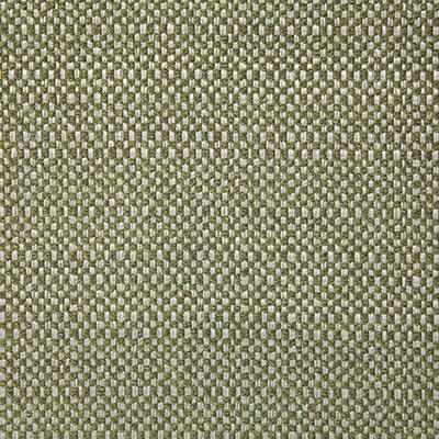 Pindler WADING CITRUS Fabric