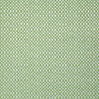 Pindler WADING SPRING Fabric