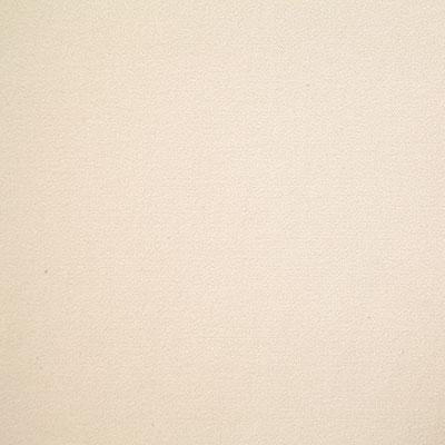 Pindler WESTMINSTER EGGSHELL Fabric