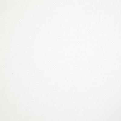 Pindler WESTMINSTER ARCTIC Fabric