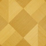 Schumacher Backdrop X Schumacher Maestro Tanlines Wallpaper